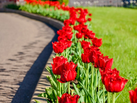 Санаторий «Заря», Кисловодск. Территория